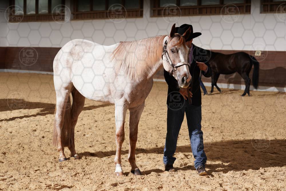 s_A9_04829.jpg